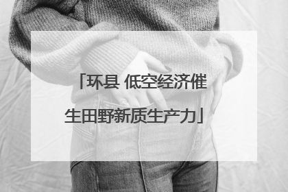 环县 低空经济催生田野新质生产力