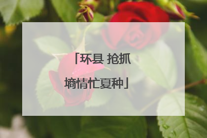环县 抢抓墒情忙夏种
