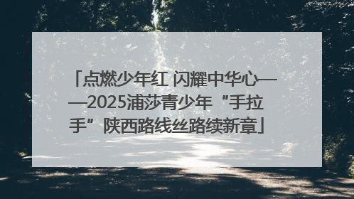 点燃少年红 闪耀中华心——2025浦莎青少年“手拉手”陕西路线丝路续新章