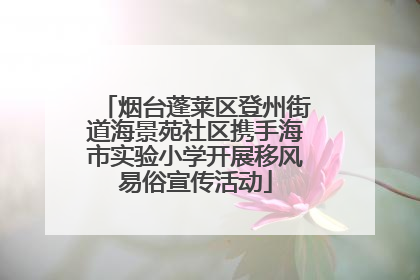 烟台蓬莱区登州街道海景苑社区携手海市实验小学开展移风易俗宣传活动