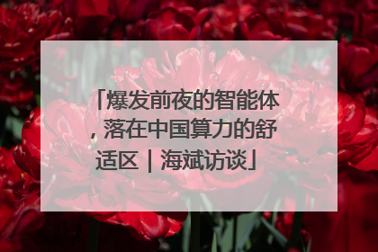 爆发前夜的智能体，落在中国算力的舒适区｜海斌访谈