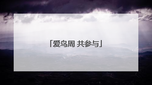 爱鸟周 共参与