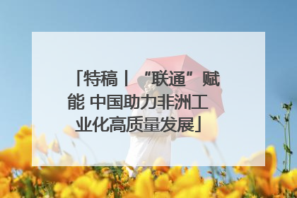 特稿丨“联通”赋能 中国助力非洲工业化高质量发展
