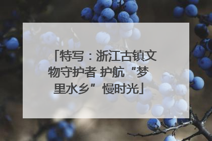 特写：浙江古镇文物守护者 护航“梦里水乡”慢时光