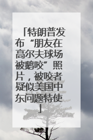 特朗普发布“朋友在高尔夫球场被鹅咬”照片，被咬者疑似美国中东问题特使