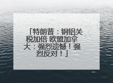 特朗普：钢铝关税加倍 欧盟加拿大：强烈遗憾！强烈反对！
