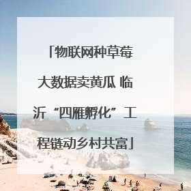 物联网种草莓 大数据卖黄瓜 临沂“四雁孵化”工程链动乡村共富