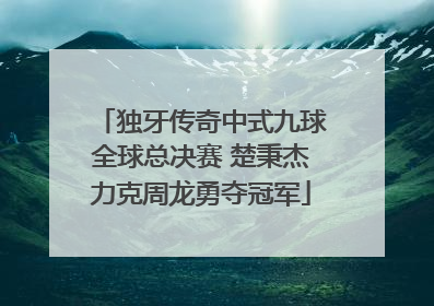独牙传奇中式九球全球总决赛 楚秉杰力克周龙勇夺冠军