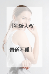 独臂大叔 吾道不孤
