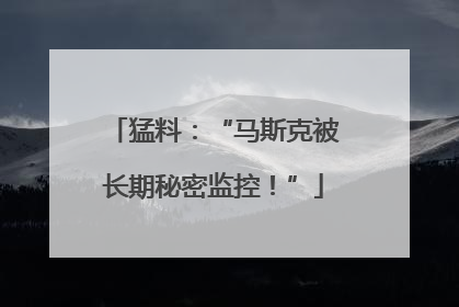 猛料：“马斯克被长期秘密监控！”