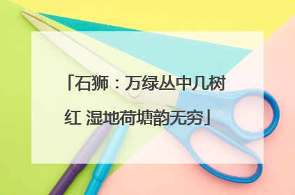 石狮：万绿丛中几树红 湿地荷塘韵无穷