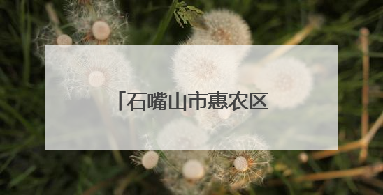 石嘴山市惠农区电商引擎驱动乡村振兴焕发新活力