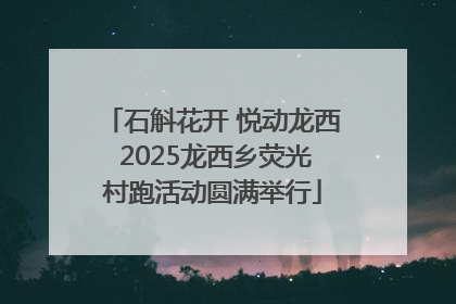 石斛花开 悦动龙西 2025龙西乡荧光村跑活动圆满举行