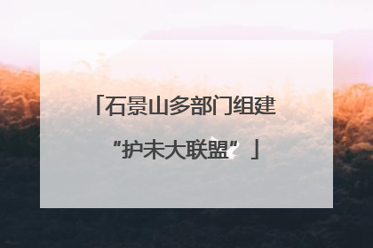 石景山多部门组建“护未大联盟”