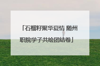 石榴籽聚华夏情 随州职院学子共绘团结卷