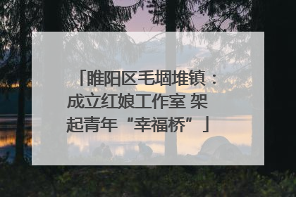 睢阳区毛堌堆镇：成立红娘工作室 架起青年“幸福桥”