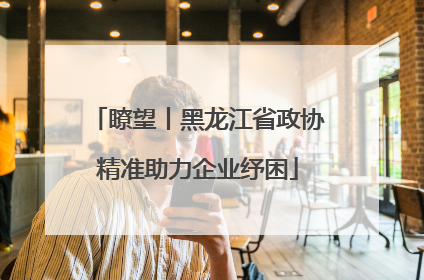 瞭望丨黑龙江省政协精准助力企业纾困