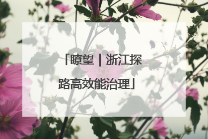 瞭望｜浙江探路高效能治理