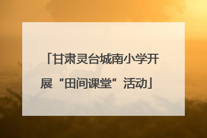 甘肃灵台城南小学开展“田间课堂”活动