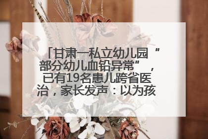 甘肃一私立幼儿园“部分幼儿血铅异常”，已有19名患儿跨省医治，家长发声：以为孩子出问题，没想过会与学校有关