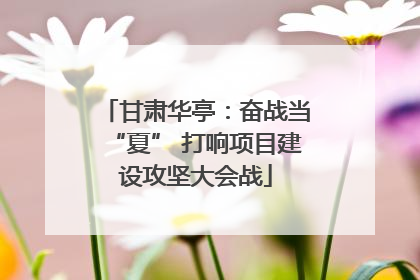 甘肃华亭：奋战当“夏” 打响项目建设攻坚大会战