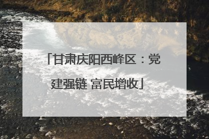 甘肃庆阳西峰区：党建强链 富民增收