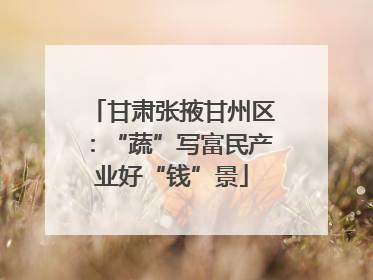 甘肃张掖甘州区：“蔬”写富民产业好“钱”景