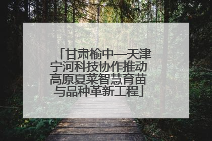 甘肃榆中—天津宁河科技协作推动高原夏菜智慧育苗与品种革新工程