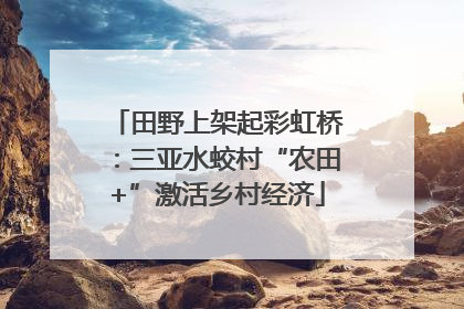 田野上架起彩虹桥：三亚水蛟村“农田+”激活乡村经济