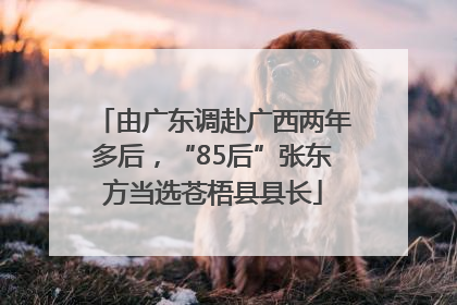由广东调赴广西两年多后，“85后”张东方当选苍梧县县长
