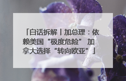 白话拆解丨加总理：依赖美国“极度危险” 加拿大选择“转向欧亚”