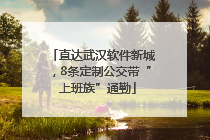 直达武汉软件新城，8条定制公交带“上班族”通勤