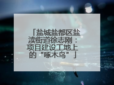 盐城盐都区盐渎街道徐志刚：项目建设工地上的“啄木鸟”