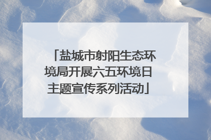 盐城市射阳生态环境局开展六五环境日主题宣传系列活动