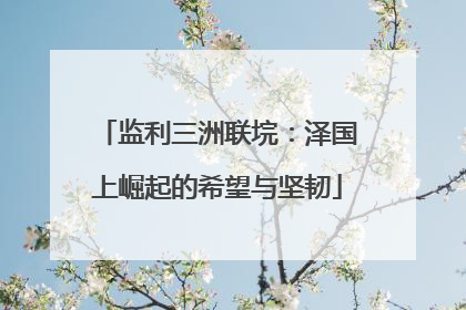 监利三洲联垸：泽国上崛起的希望与坚韧