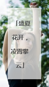 盛夏花开，凌霄攀云