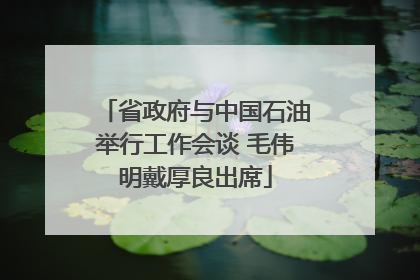 省政府与中国石油举行工作会谈 毛伟明戴厚良出席