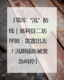 筑牢“汛”防线｜慈利县二坊坪镇：雷霆出击！汛期捕鱼被紧急叫停