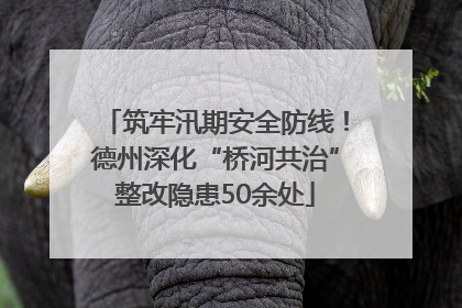 筑牢汛期安全防线！德州深化“桥河共治”整改隐患50余处