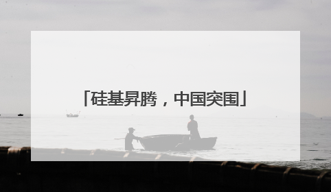 硅基昇腾，中国突围