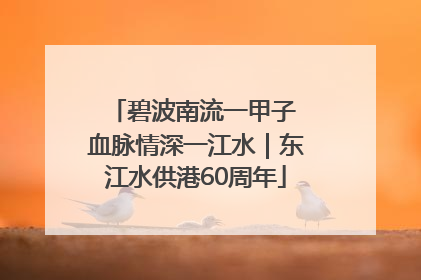 碧波南流一甲子 血脉情深一江水｜东江水供港60周年