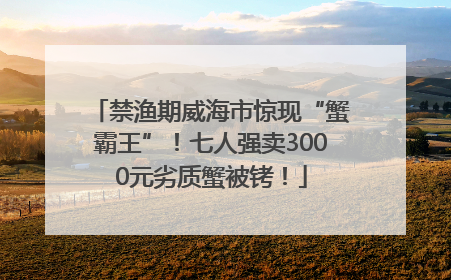 禁渔期威海市惊现“蟹霸王”！七人强卖3000元劣质蟹被铐！