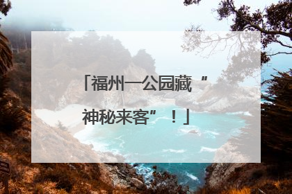 福州一公园藏“神秘来客”！