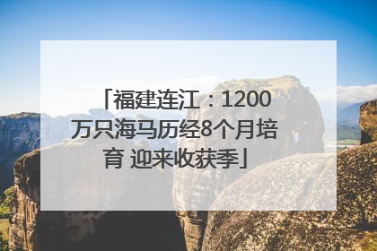 福建连江：1200万只海马历经8个月培育 迎来收获季