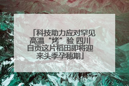 科技助力应对罕见高温“烤”验 四川自贡这片稻田即将迎来头季孕穗期