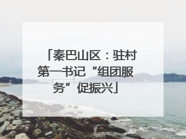 秦巴山区：驻村第一书记“组团服务”促振兴