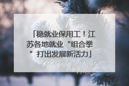 稳就业保用工！江苏各地就业“组合拳”打出发展新活力