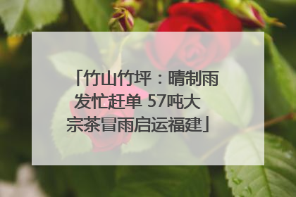 竹山竹坪：晴制雨发忙赶单 57吨大宗茶冒雨启运福建
