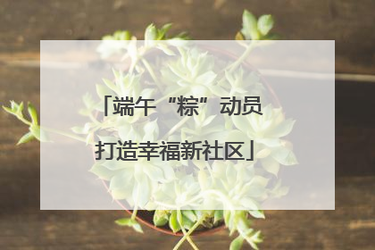 端午“粽”动员 打造幸福新社区