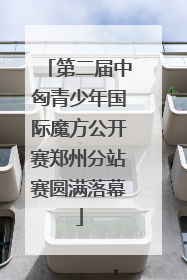 第二届中匈青少年国际魔方公开赛郑州分站赛圆满落幕